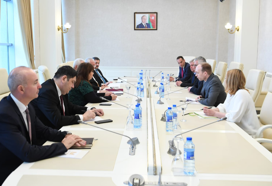 Se celebró una reunión de los grupos de amistad parlamentarios de Azerbaiyán y Eslovenia