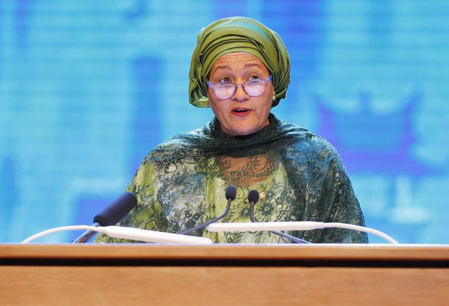 BMT: İqlim sərmayəsinin artırılması dayanıqlı inkişaf məqsədlərinə xidmət edir