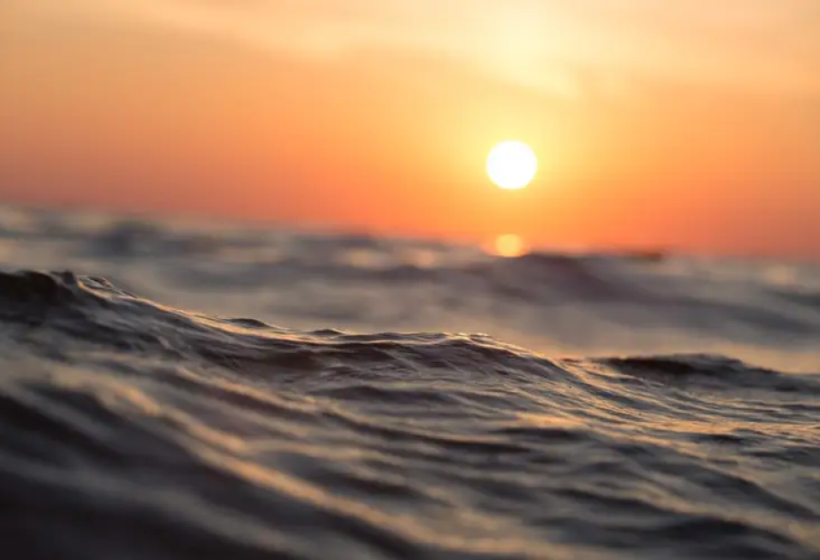 Extreme marine heatwaves tripled over past 80 years: study