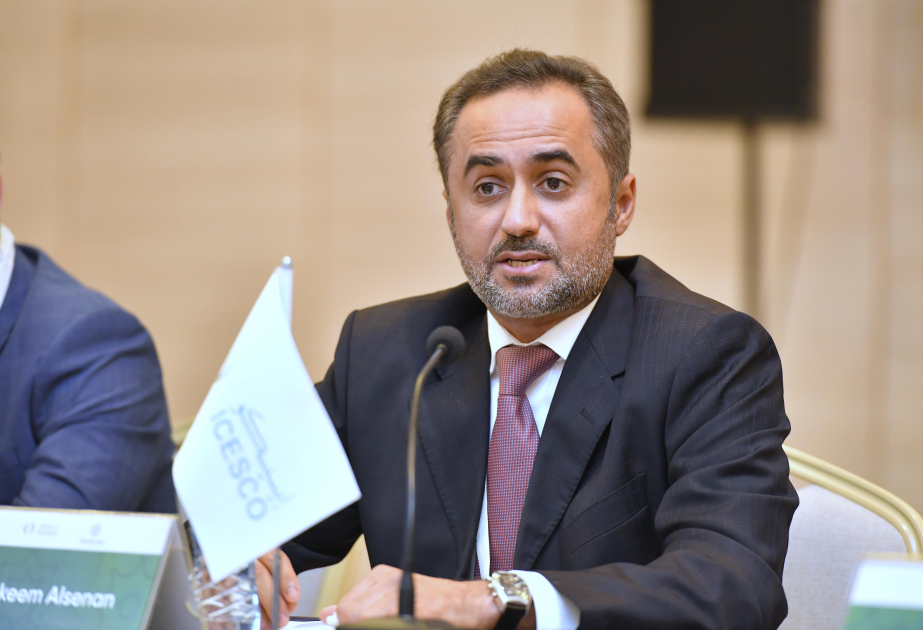 Director of Regional Office: ICESCO will continue to support efforts in promoting culture and bringing people together