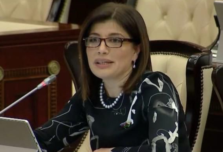 Azərbaycan Türk Dövlətləri Təşkilatında olduqca mühüm və strateji rola malikdir - ŞƏRH