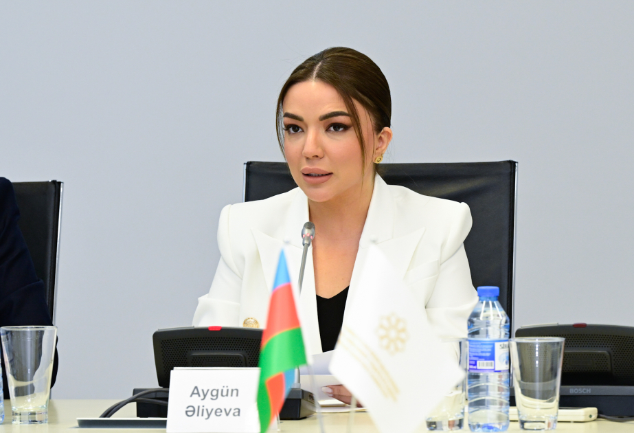 İcraçı direktor: Yeni portal vasitəsilə QHT-lərə göstərilən xidmətlər daha əlçatan olub