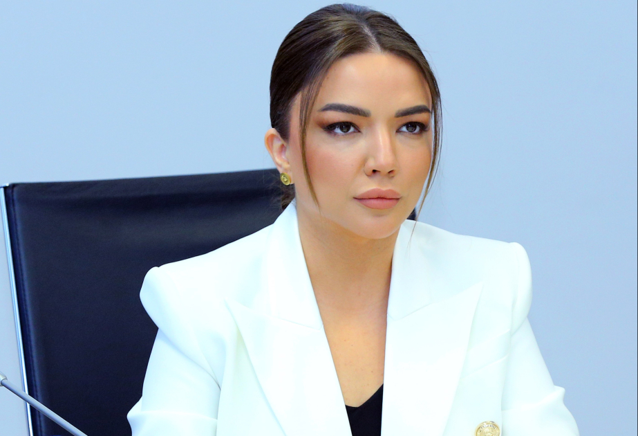 Aygün Əliyeva: Son 4 ildə QHT-lərə 22 milyon manata yaxın vəsait ayrılıb