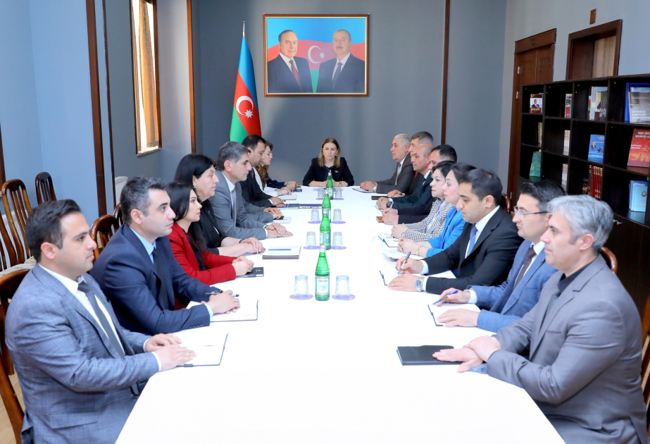 Hökumətin hesabatının Ali Məclisin komitə iclaslarında müzakirəsi başa çatıb