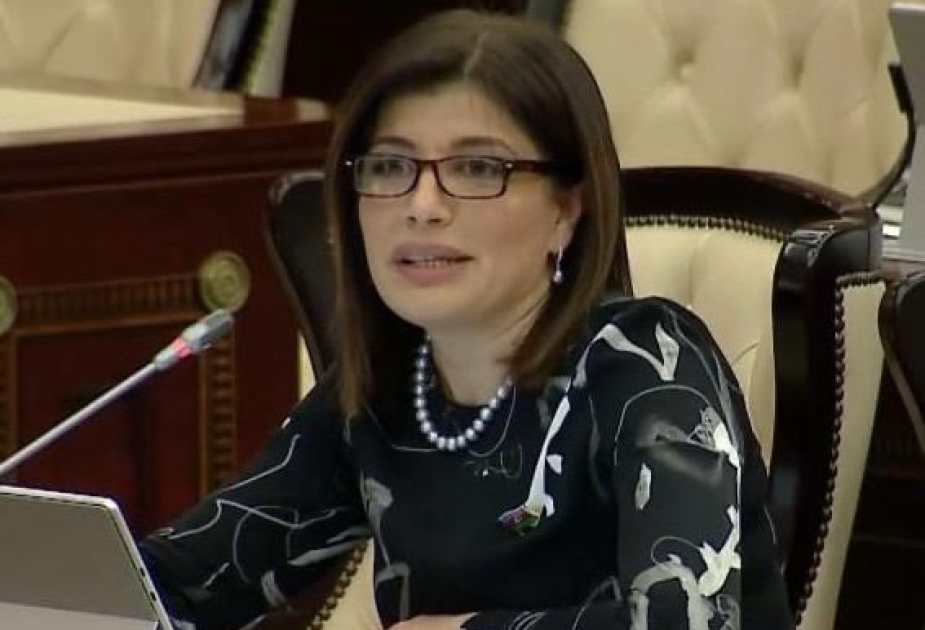 Gunay Afandiyeva: Azerbaijan plays an exceptionally important and strategic role in Organization of Turkic States – COMMENTARY