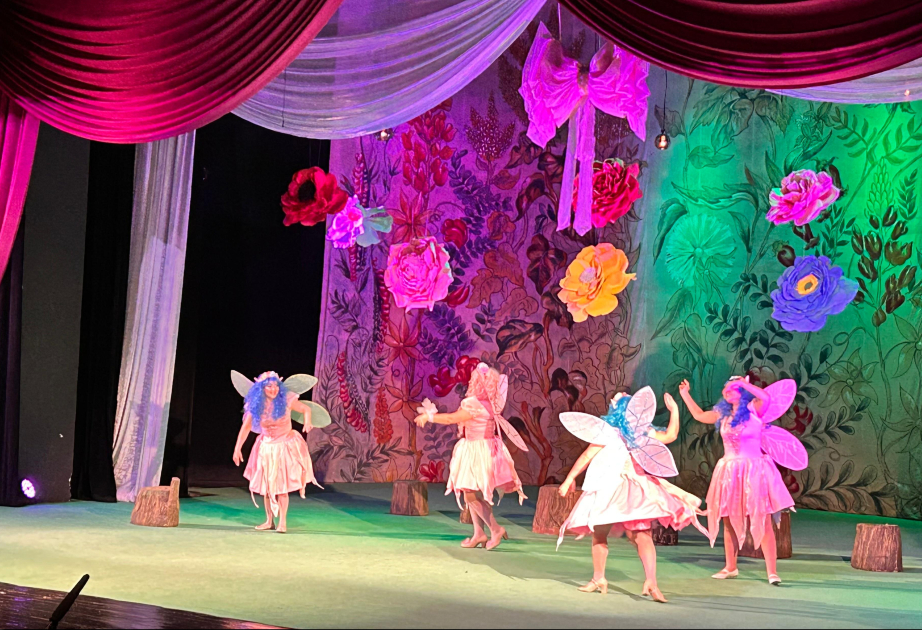 Milli Gənc Tamaşaçılar Teatrında premyera - “Düyməcik”