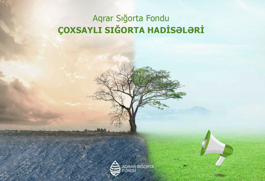 Aqrar Sığorta Fonduna qeyri-sabit hava şəraiti ilə əlaqədar təsərrüfatlara zərər dəyməsi barədə 76 müraciət daxil olub