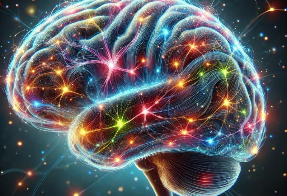 Brain Learning Study