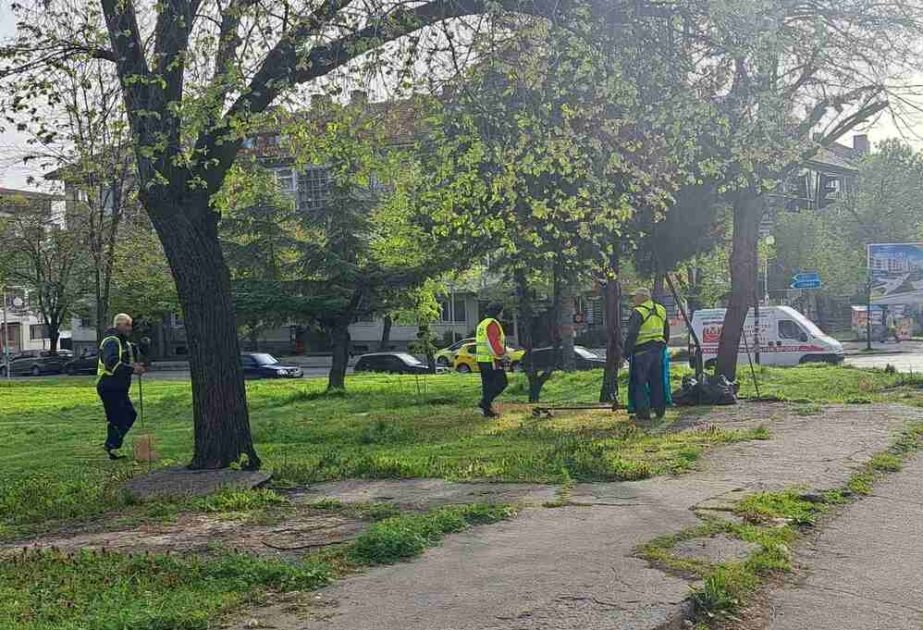 Bolqarıstanda gənə və ağcaqanadlar tərəfindən ötürülən xəstəliklər artmaqdadır