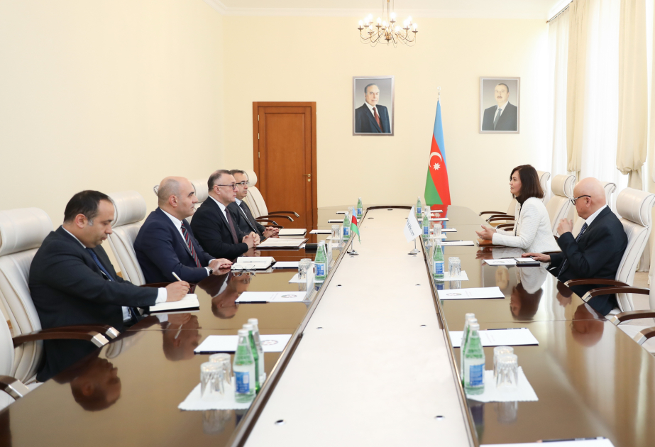 Səhiyyə Nazirliyində Qlobal Fondun yeni təyin olunan Portfolio meneceri ilə görüş keçirilib