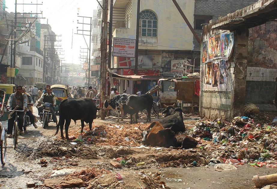  polluted town 