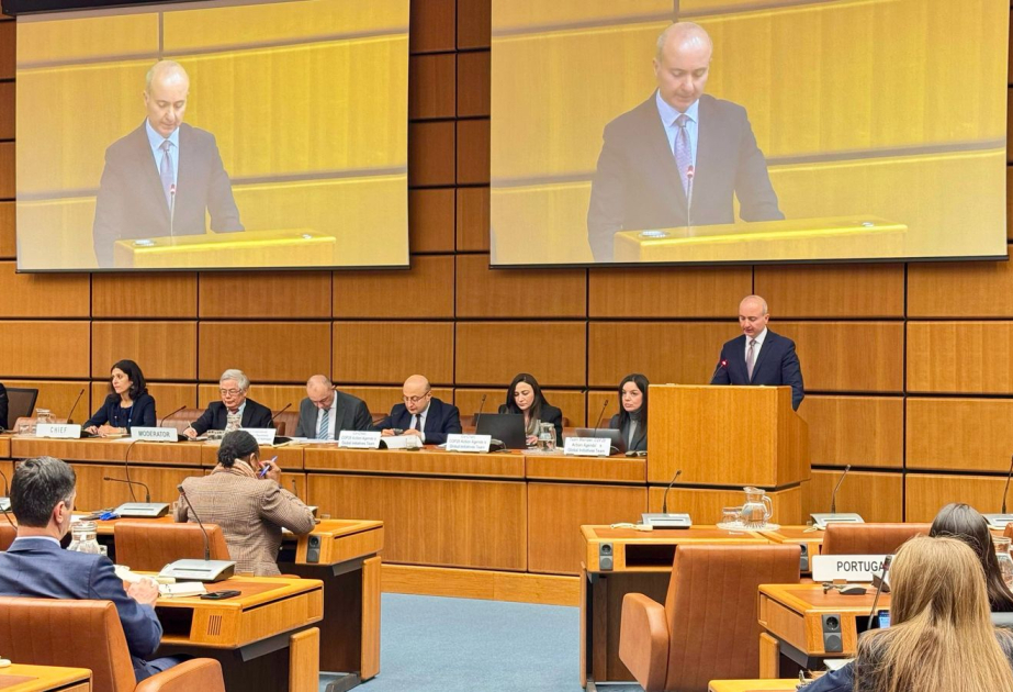 Vienna hosts briefing on COP29 energy initiatives