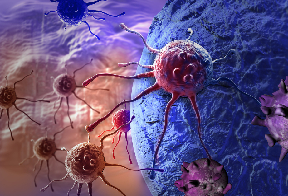 Scientists can tell healthy and cancerous cells apart by how they move