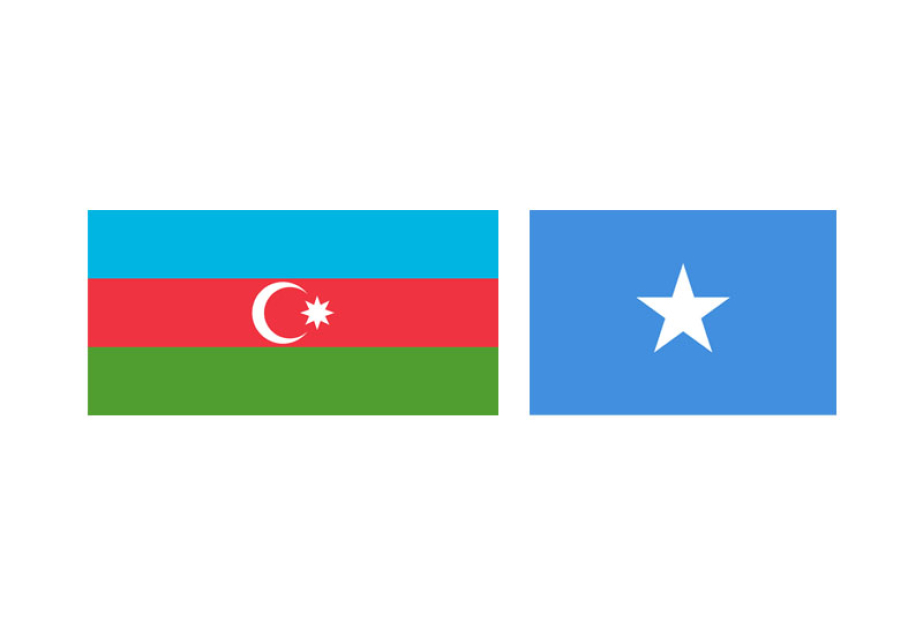Azərbaycanla Somali müdafiə və müdafiə sənayesi sahələrində əməkdaşlıq edəcəklər