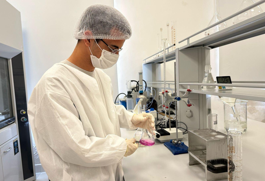 BDU-nun magistrantlarına innovativ tədris metodları ilə dərs keçirilib