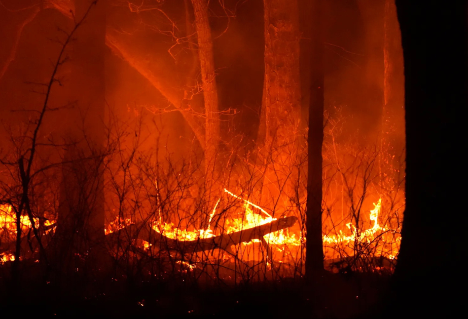 Über 3000 Menschen im US-Bundesstaat New Jersey müssen wegen eines Waldbrands evakuieren