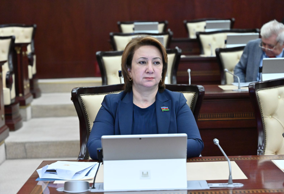 Azərbaycanla Çinin strateji tərəfdaşlığı bu ölkələrin eyni siyasi baxışa malik olmasından güc alır ŞƏRH