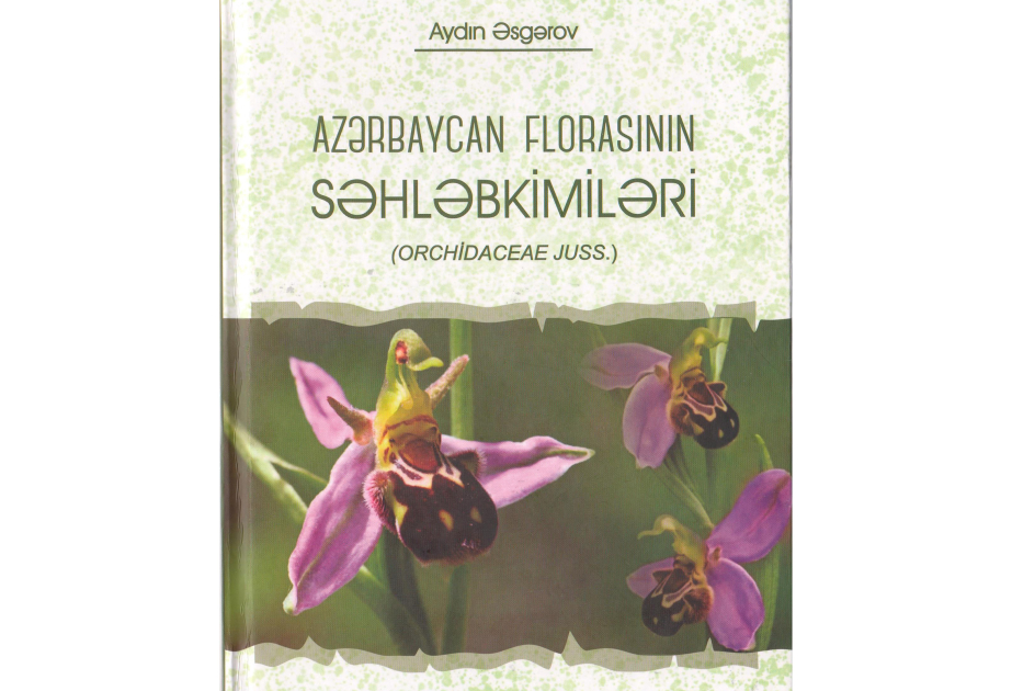 “Azərbaycan florasının səhləbkimiləri” kitabı çapdan çıxıb