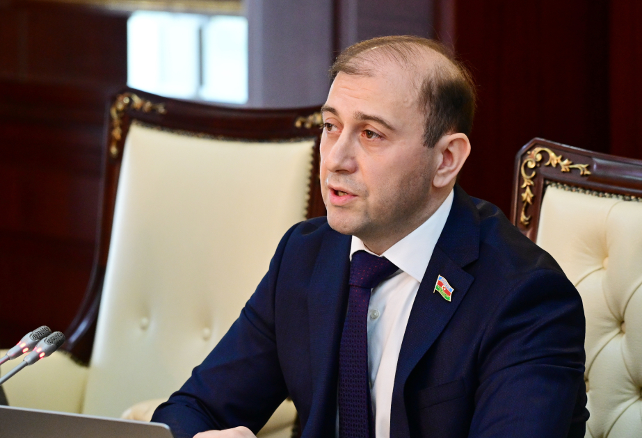EUMA personalına verilən imtiyazlar erməni pilotlara təlim keçməyə imkan yaradır - Ramid Namazov