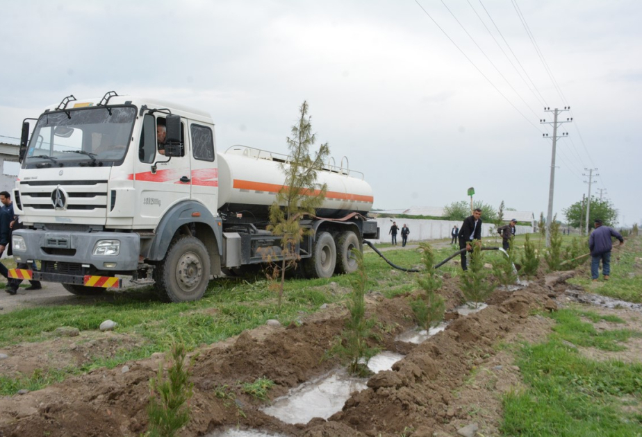 Tərtərdə ağacəkmə aksiyası keçirilib