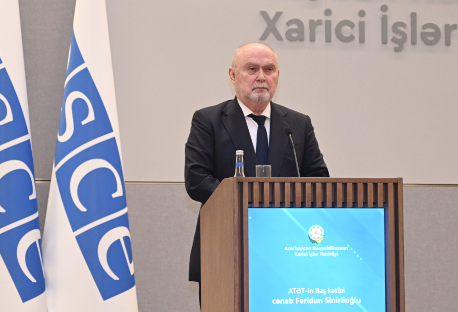 Baş katib: ATƏT minaların təmizlənməsində dəstək göstərməyə hazırdır VİDEO
