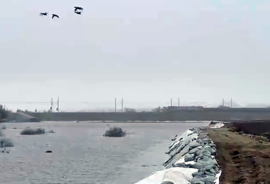 Казахстан мобилизует силы: 1 087 человек и 126 единиц техники против паводка на Есиле