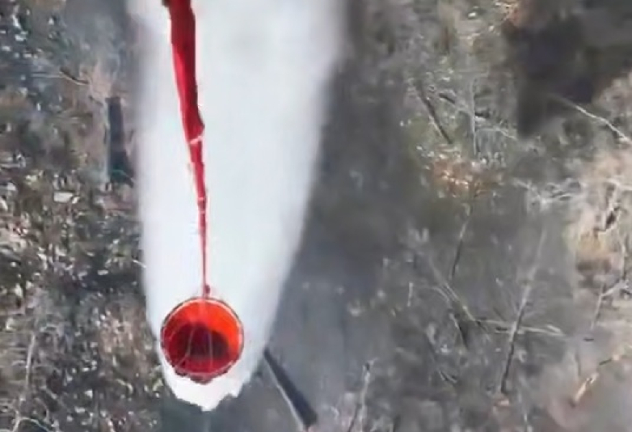 В Казахстане 157 спасателей и 4 воздушных судна локализовали природный пожар