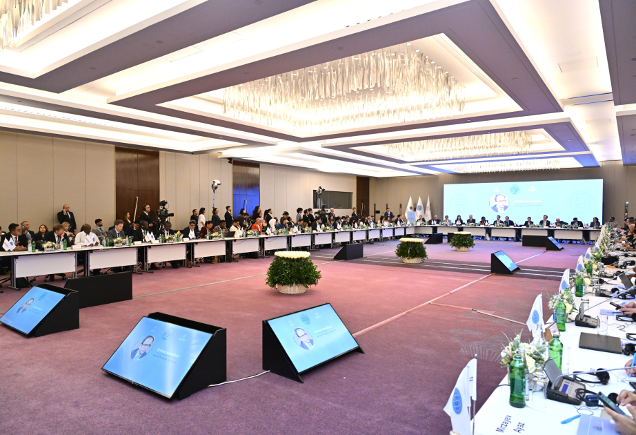 Se crea la Plataforma de ONG del Sur Global