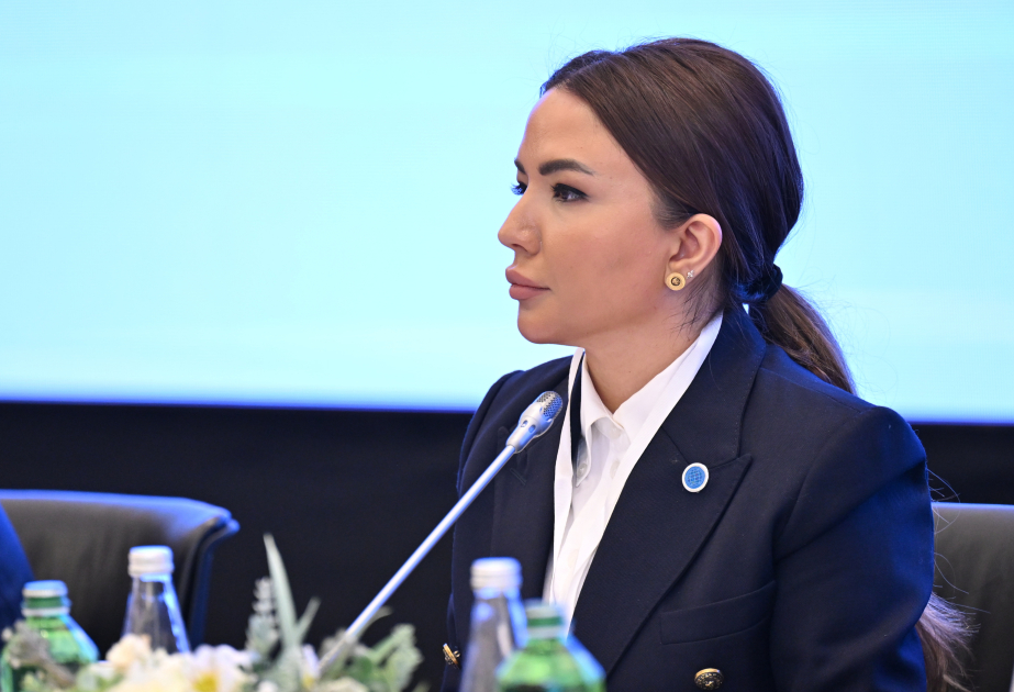 Aygun Aliyeva: We systematically support the active engagement of local NGOs in international projects