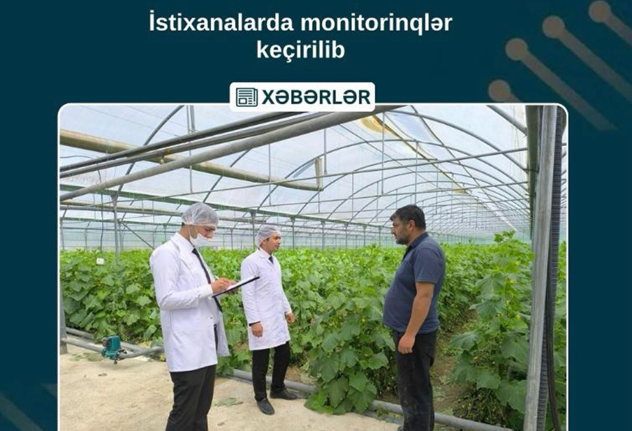 Naxçıvanda yerləşən 38 istixanada monitorinqlər aparılıb