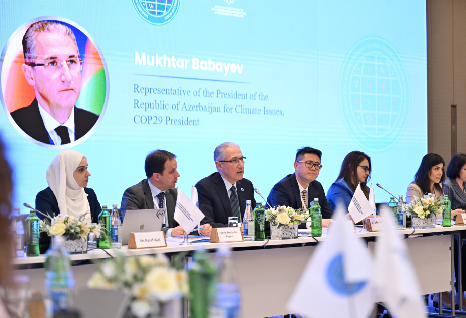 Representante del Presidente de Azerbaiyán en Asuntos climáticos: “Las ONGs han estado en el centro del proceso de discusión y toma de decisiones en la COP29”