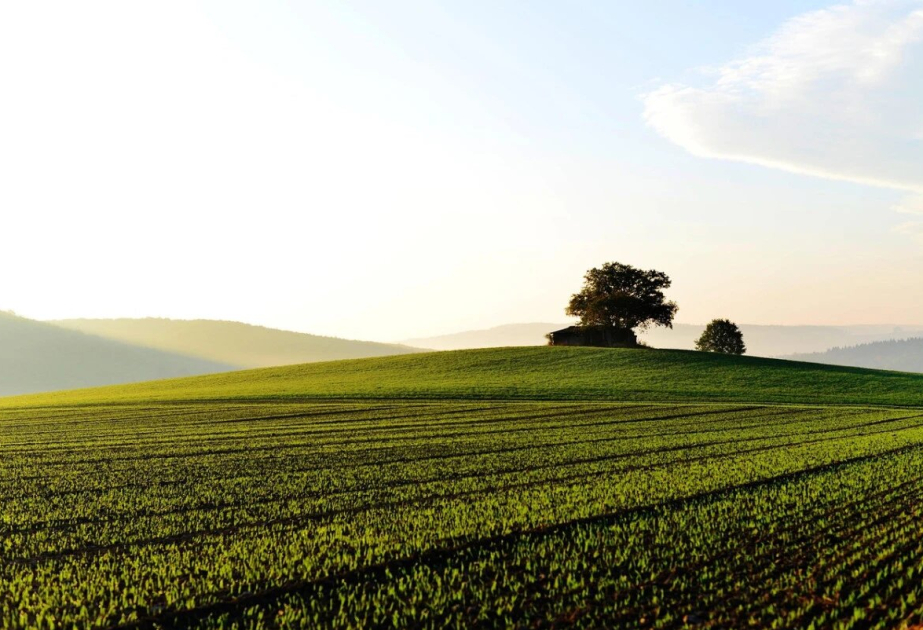 В Казахстане опровергли слухи о передаче земель Китаю