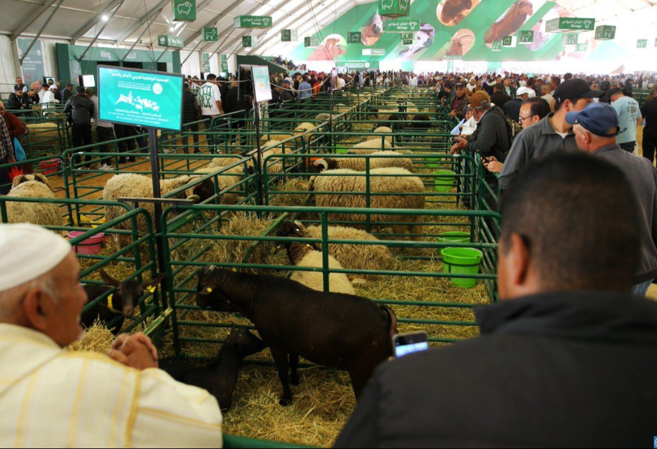 Le 17ème Salon international de l’Agriculture au Maroc : une participation record de près de 1.580 exposants