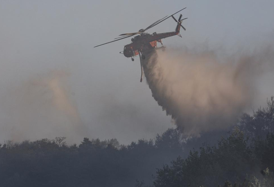 Corée du Sud : Les sapeurs-pompiers luttent contre un incendie de forêt à Daegu