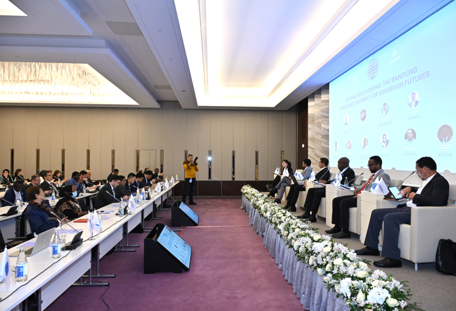 “Həmrəy fəaliyyət: yeni və ədalətli dünya üçün Qlobal Cənub QHT-lərinin gücləndirilməsi” Forumu panel iclaslarla davam edir VİDEO