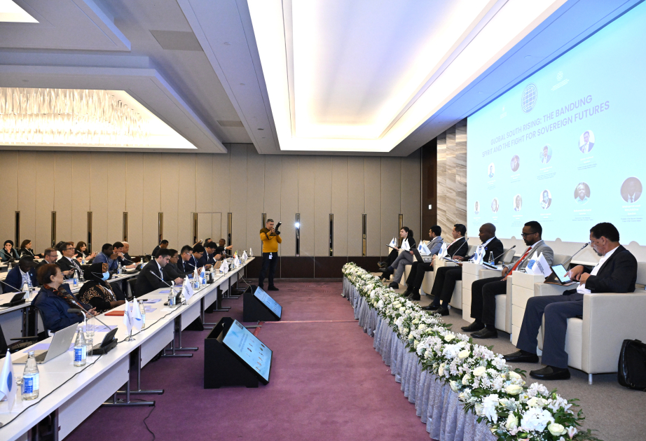 “Solidarity in Action: Strengthening Global South NGOs for a New and Fair World" Forum continues with panel discussions