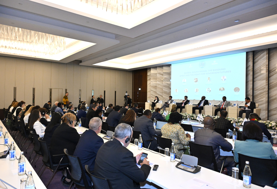 “Qlobal Cənubun yüksəlişi: Bandung ruhu və suveren gələcək uğrunda mübarizə” - Panel sessiya
