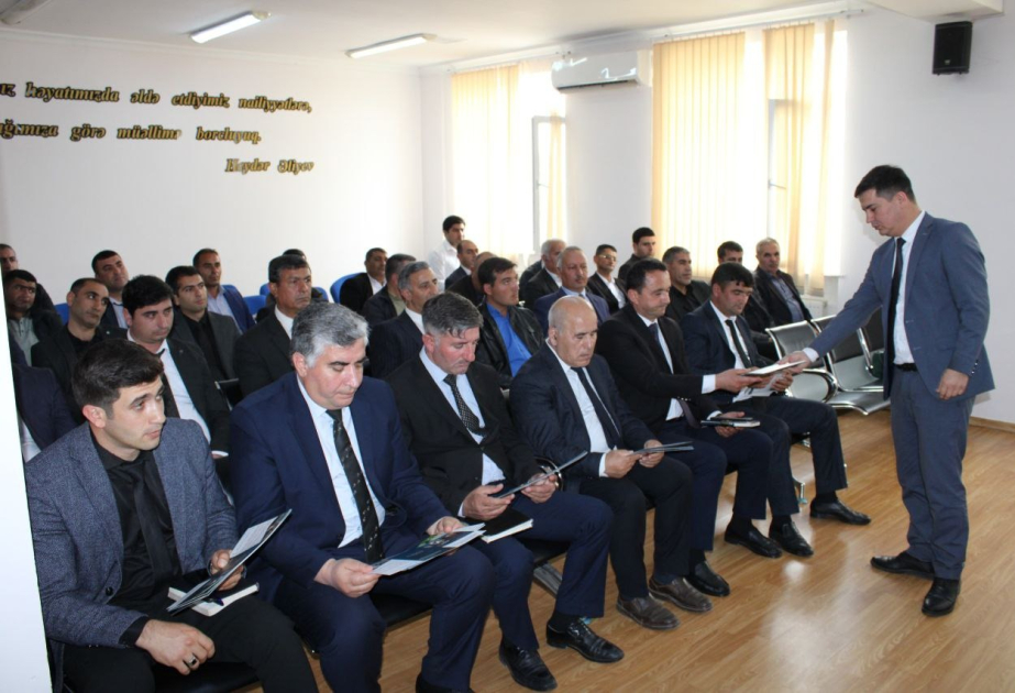 Qəhvəyi mərmər bağacığına qarşı mübarizə tədbirləri davam etdirilir