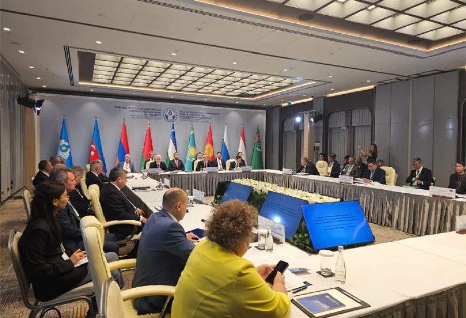 Первый заместитель премьер-министра Азербайджана принял участие в 105-м заседании Экономического совета СНГ в Ташкенте