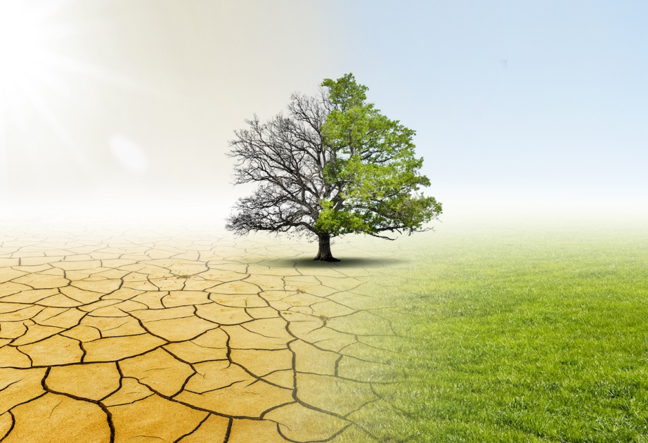 Bericht über Klimafolgen: US-Regierung beendet Zusammenarbeit mit Hunderten Forschenden