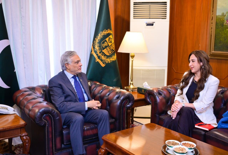 US Chargé d’Affaires Natalie Baker meets Pakistani Deputy Prime Minister Mohammad Ishaq Dar