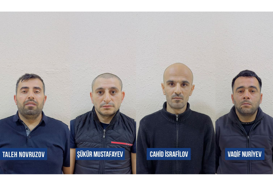 Şəkidə mal-qara oğurlayan dəstə üzvləri saxlanılıb