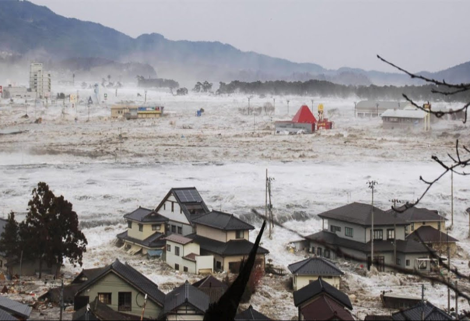 Исследование: Мощное землетрясение может «резко» поднять уровень моря на северо-западе Тихого океана
