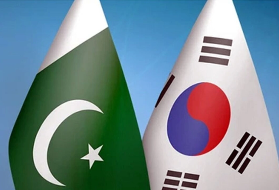 Pakistani Deputy Prime Minister holds phone talks with South Korean Foreign Minister