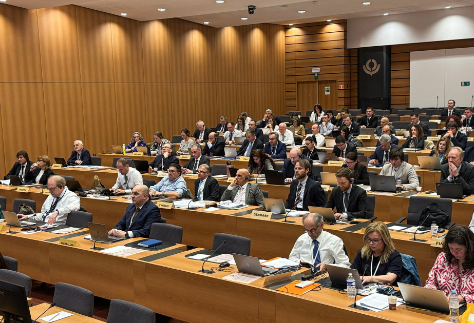 COP29 : une initiative lancée pour adopter la Déclaration de Bakou comme document de l'OMD