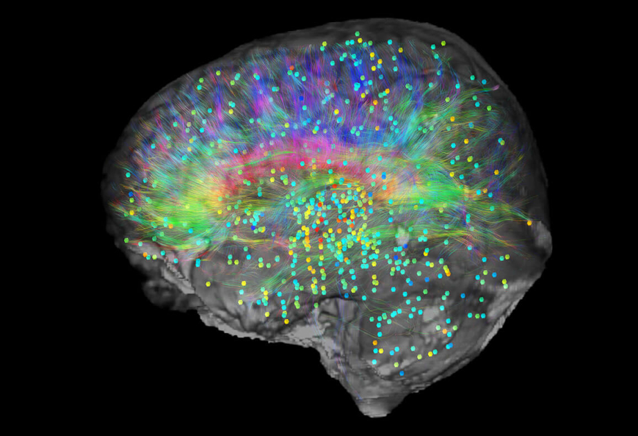 Experiment sheds new light on the origins of consciousness