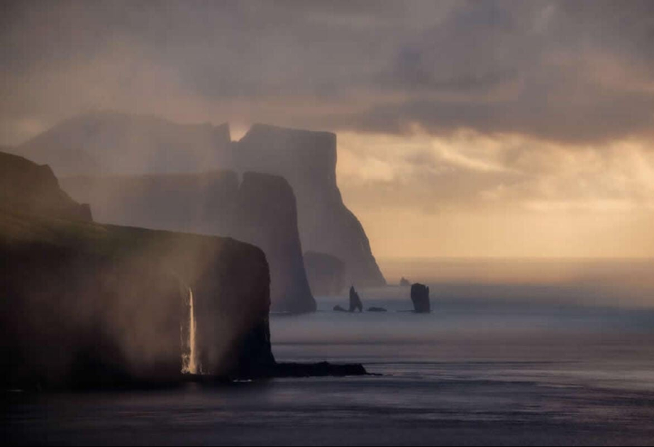Подведены итоги конкурса «Лучший фотограф-натуралист 2025 года»