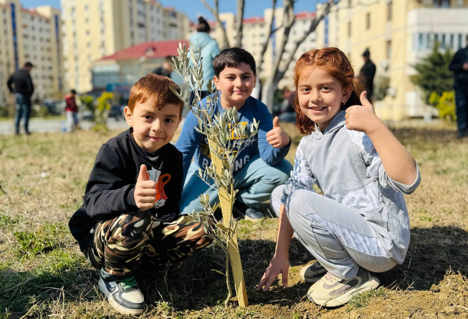 Se organizó una campaña de plantación de árboles en el marco del "Año de la Constitución y la Soberanía"