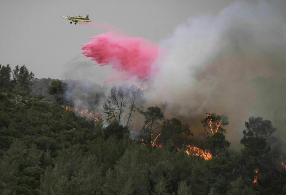 Israel: Waldbrände bei Jerusalem laut Feuerwehr unter Kontrolle