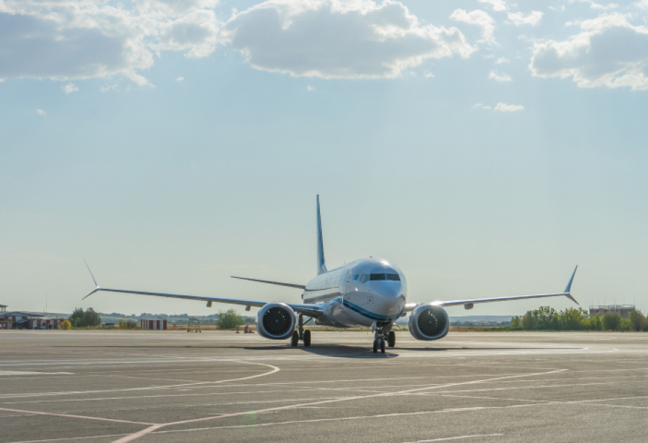 Самолет столкнулся с птицей при посадке в Астане